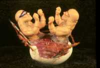 Easter Egg from 2001